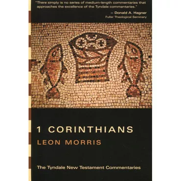 1 Corinthians by Leon Morris