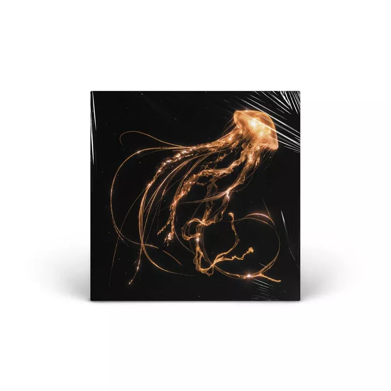 Back To The Water Below (Indie Retail Exclusive) vinyl LP
