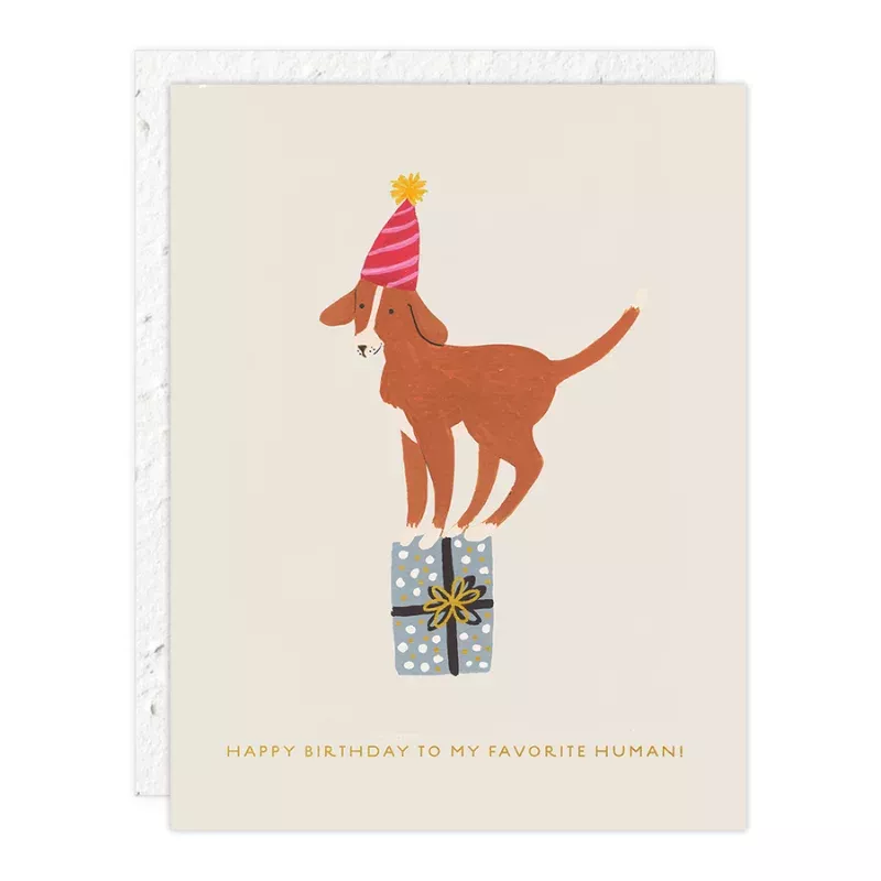 Birthday Dog Plantable Card