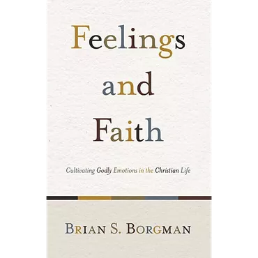 Feelings & Faith by Brian Borgman (Paperback)