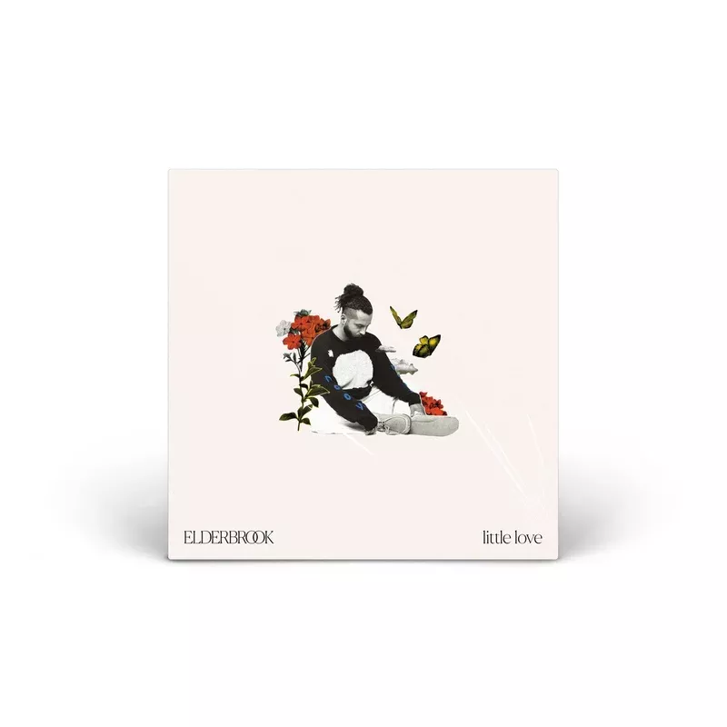 Little Love vinyl LP