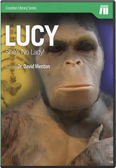 Lucy- She’s No Lady!