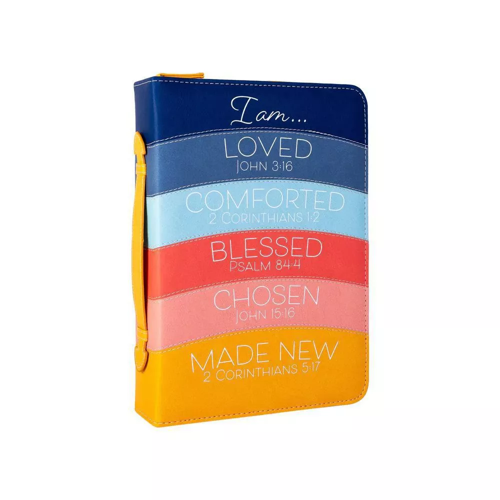 Modern Rainbow Divine Details Bible Cover
