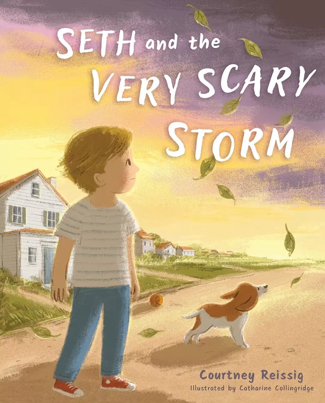 Seth and the Very Scary Storm (Courtney Reissig)