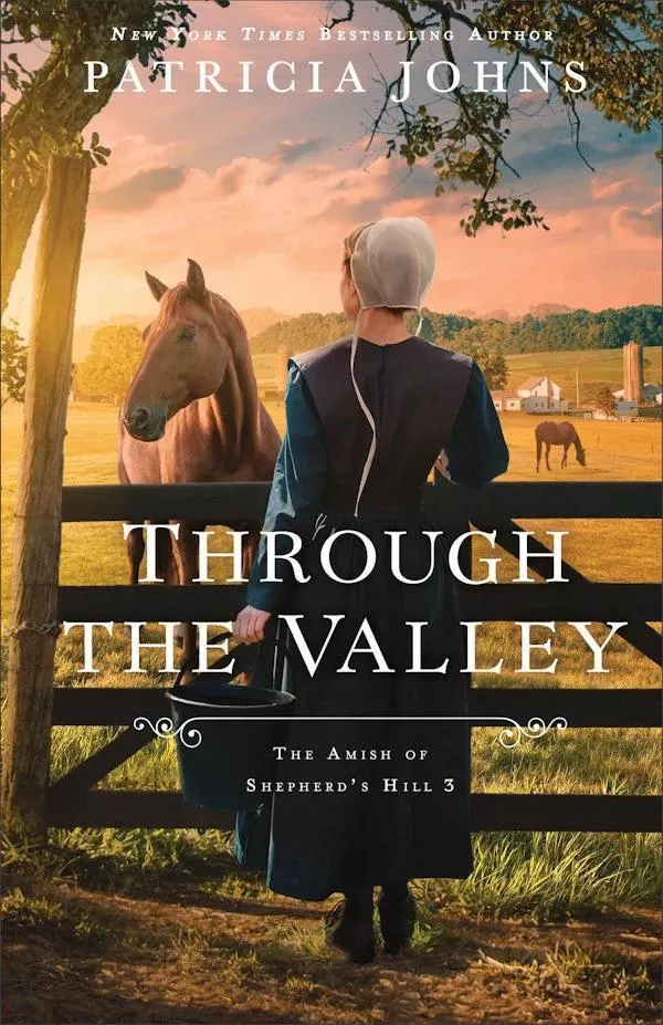 Through the Valley (Patricia Johns)